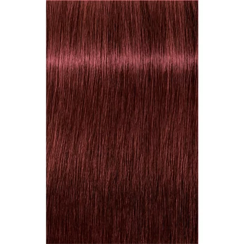Schwarzkopf IGORA Expert Mousse pjena za bojanje za kosu nijansa 5-88 Light Brown Red Extra 100 ml