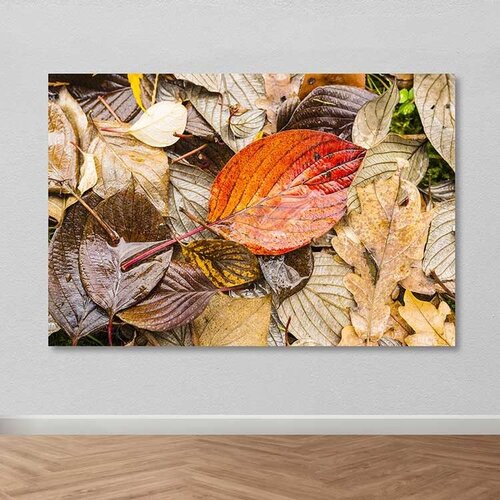 Wallity Slika DEV03359100140, 100x140 cm Cene