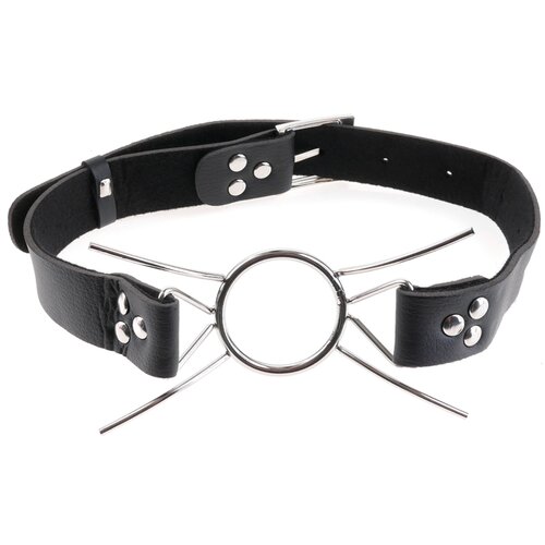 Fetish Fantasy Series Fetish Fantasy Extreme Spider Gag Cene
