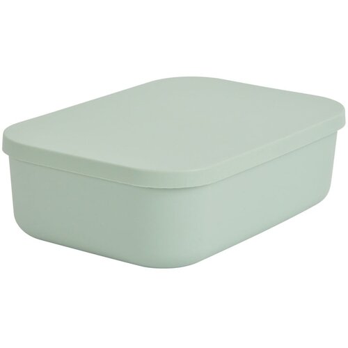 Homéa Svetlo zelena plastična škatla za shranjevanje s pokrovom 24x18x8 cm – Cene