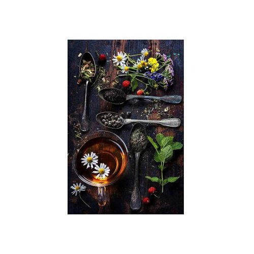 Conceptum Hypnose tepih (140x220) Hmnt577 Cene