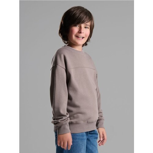 Sinsay Crewneck majica Cijene