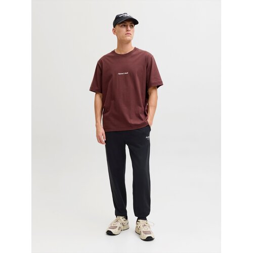Jack &amp;amp; Jones Hlače &amp;#039;JPSTGORDON&amp;#039; črna / bela Slike