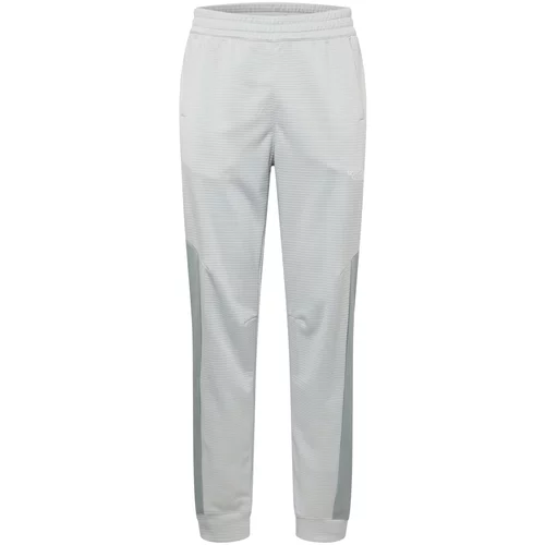 The North Face Sportske hlače siva / svijetlosiva / bijela