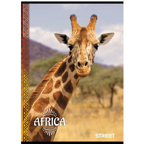 STREET Zvezek A4 Africa, mali karo, 80 listov, sortirano, 1 kos Slike