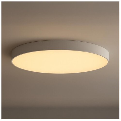  LED Plafonsko svetlo LED/200W/230V 3000/4000/6500K prečnika 100 cm bela Cene