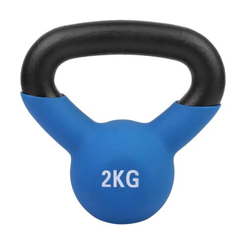 Master Teg girja/kettlebell 2kg 251877 Cijene