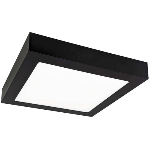 LED Plafonsko svetlo FENIX LED/12W/230V 2800K 17 cm Cene