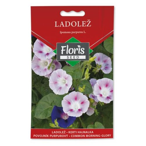 Floris seme cveće-ladolež 02g FL Cene