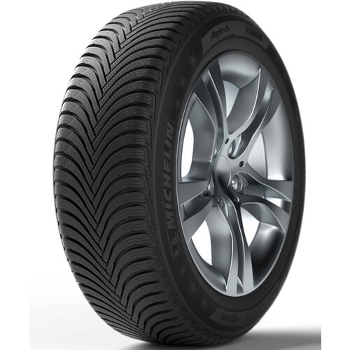 Michelin alpin 5 zp ( 205/55 R16 91H, runflat ) Cene