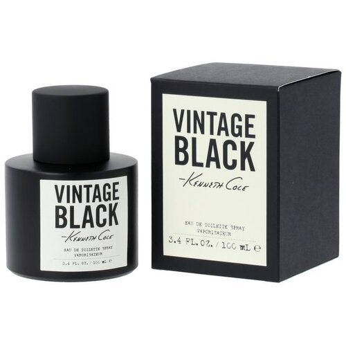 Kenneth Cole Vintage Black toaletna voda 100 ml za moške Cene