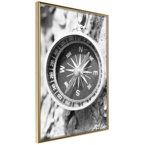  Poster - Where to Go? 30x45 Cijene