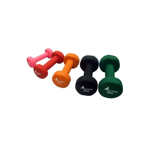 HAWK FITNESS capriolo tren-pvc teg 5kg capriolo 291014 Cene