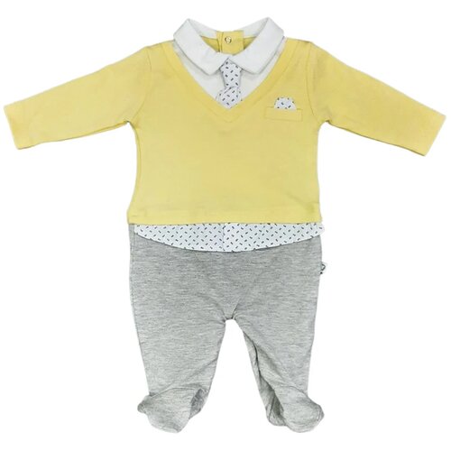  Zeka za bebe 2172, Žuto-siva Slike