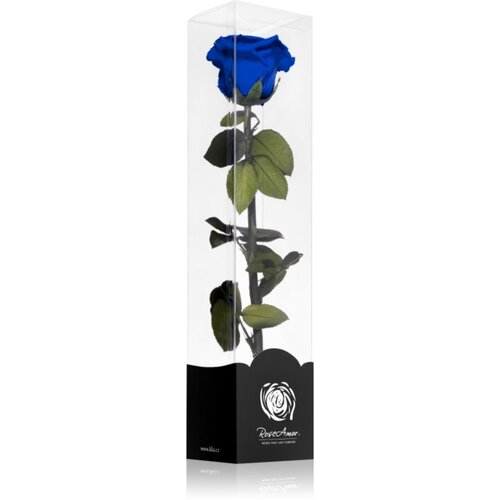 RoseAmor Blue stabilizirana ruža na stabljici 1 kom Slike