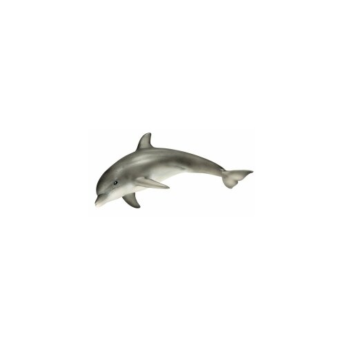  Delfin Cene