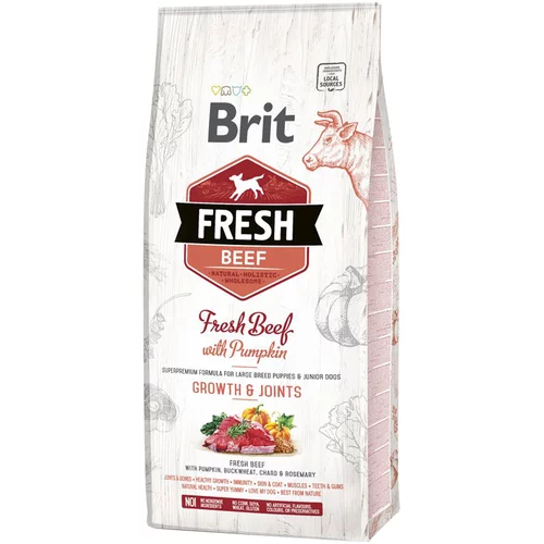 Brit Fresh Puppy Large govedina z bučo - Varčno pakiranje: 2 x 12 kg