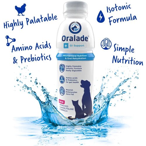 Macahl Animal Health oralade gi support tečna veterinarska dijeta za pse i mačke 500ml 5+1 gratis! Cene