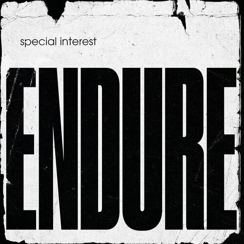  special interest - endure Cene