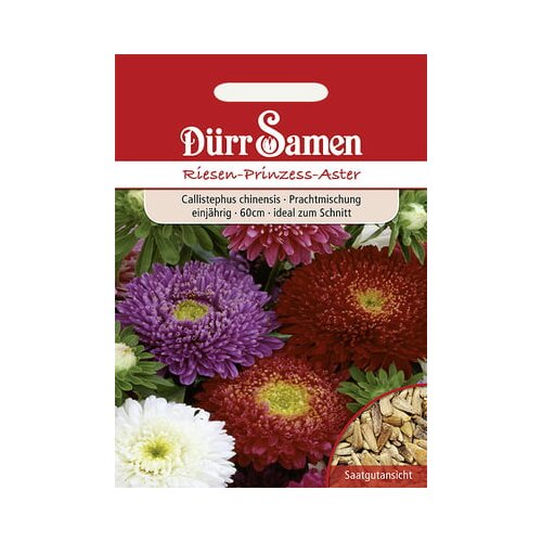 Dürr Samen Velikanska princesa astra Cene