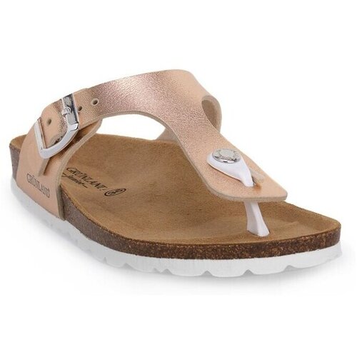 Grunland Japonke Cipria 40luce Pozlačena Cene