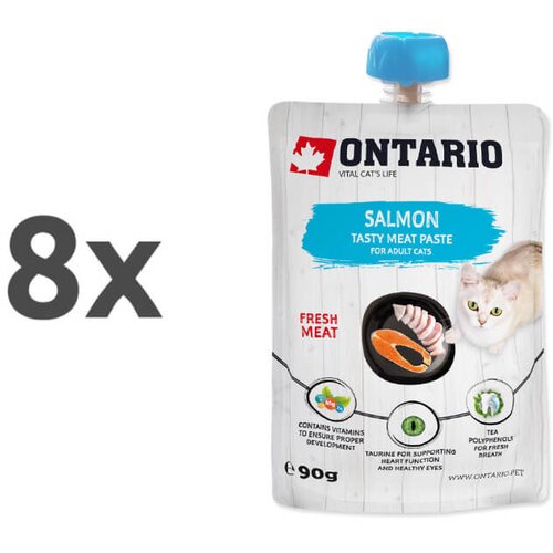 Ontario Cat pasta z lososom 8 x 90 g Cene