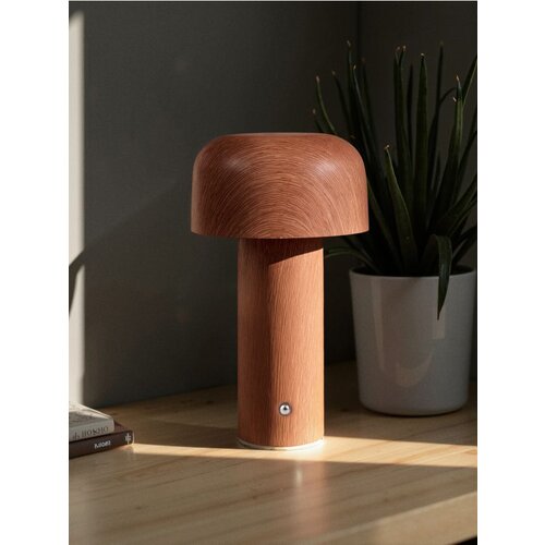 Sinsay LED svjetiljka Slike