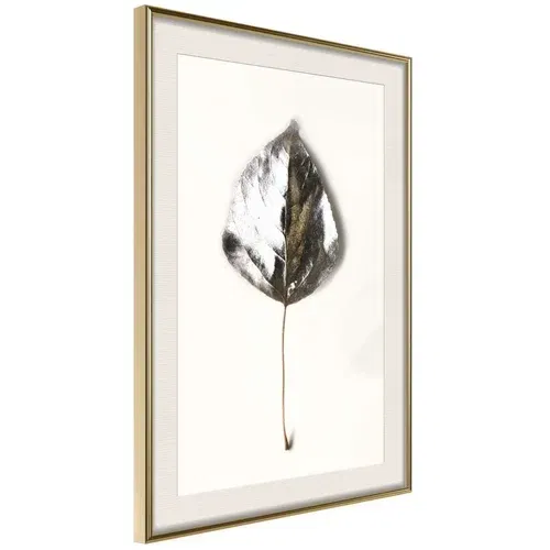  Poster - Silvery Leaf 30x45