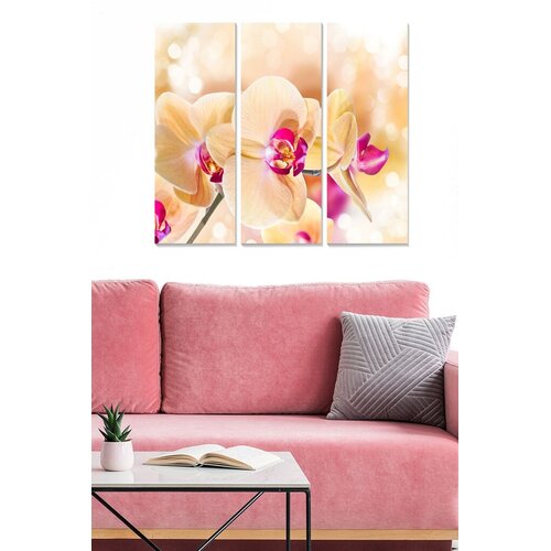 Wallity Set slika MDF5151906, 3 dijela Cijene