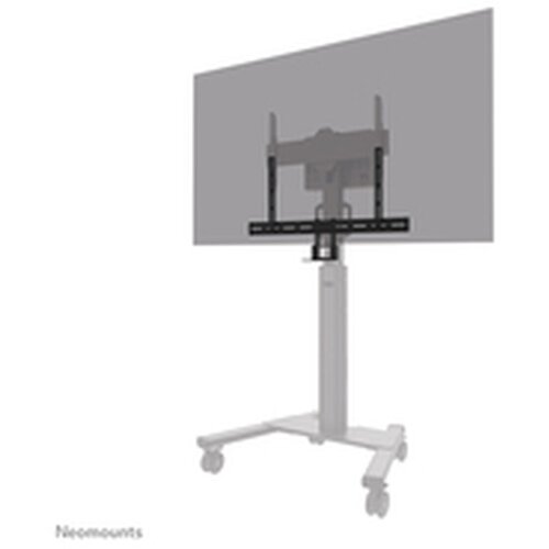 Neomounts Polica za kamere AV50-500BL VESA max 5kg univerzalna, (5000540856) Cene