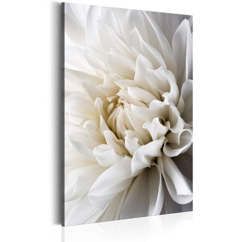  Slika - White Dahlia 80x120 Cijene