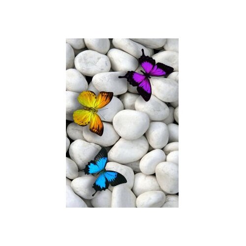 Conceptum Hypnose tepih (80 x 150) WOOKECE130 Slike