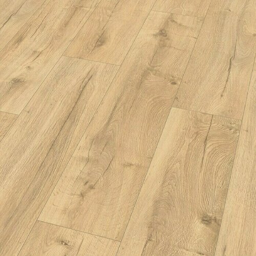 x laminat Königseiche (1.292 246 8 mm, rustikalni pod) Cijene