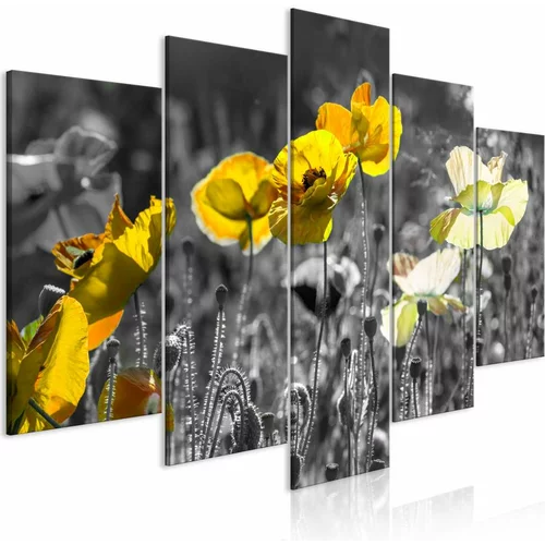  Slika - Yellow Poppies (5 Parts) Wide 100x50