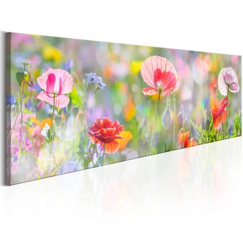  Slika - Rainbow of Morning Poppies 120x40