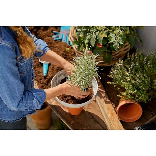 Gardena 11320-20 posuda za sadnju Cijene