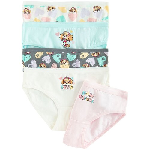 Cool club spodnje hlače slip 5 kosov LUG3210340-00 8105786 PAW PATROL D večbarvno 86/92 Cene