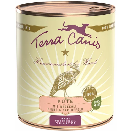 Terra Canis Ekonomično pakiranje 12 x 800 g - Puretina s brokulom, kruškom i krumpirom