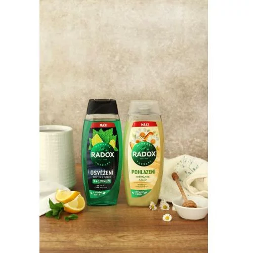 RADOX Refreshment Menthol And Citrus 3-in-1 Shower Gel osvežilen gel za prhanje 450 ml za moške