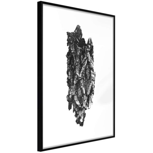  Poster - Texture of a Tree 30x45 Slike