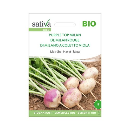 Sativa Bio majska repa &amp;quot;Purple Top Milan&amp;quot; Slike