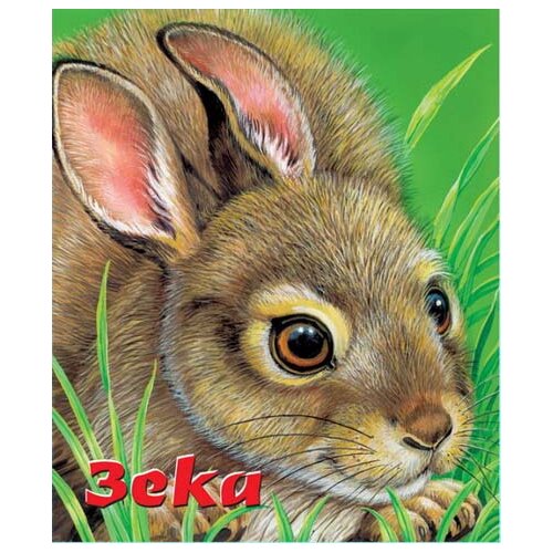 Vulkan Izdavaštvo Tvrde slikovnice - Zeka Cene