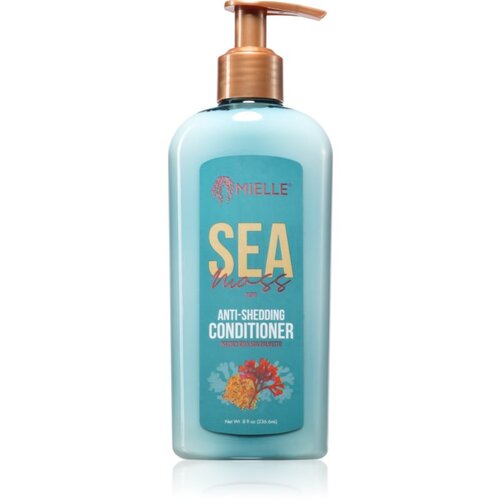 Mielle Sea Moss balzam za oslabljene lase, ki so nagnjeni k izpadanju 235 ml Cene