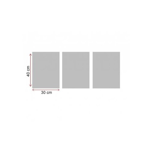  Slika monstera 40x94cm Slike