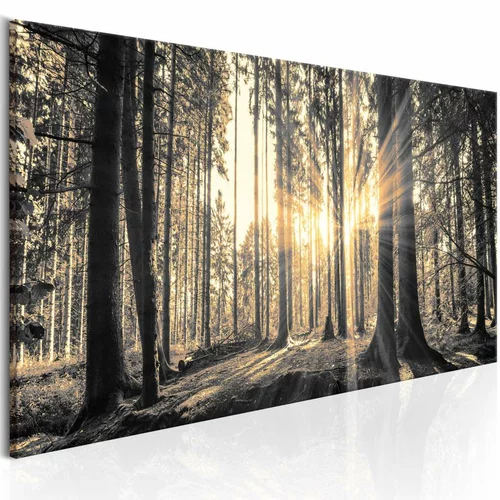  Slika - Forest Sun 150x50