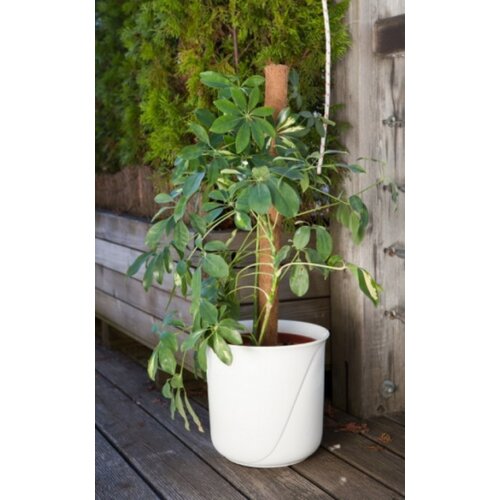 Windhager OPORNA PALICA OVITA S KOKOSOM 80 CM Cene