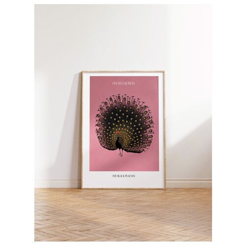 Wallxpert uramljena slika 115214, The Black Peacock Ohare Kosona, crni paun, ružičasta pozadina, 50 x 70 cm, ram u boji prirodnog drveta Slike