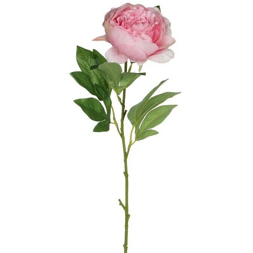  Umjetni cvijet Božur (Roze boje, Visina: 76 cm, Plastika) Cene