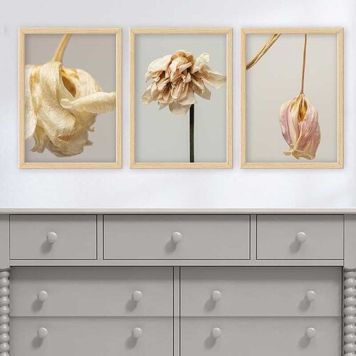 Wallity Set uramljenih slika 3NTC_2563318, 3 Dela Cene