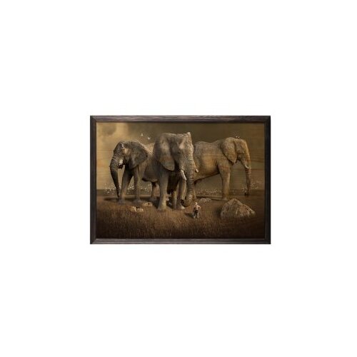 Wallity slika elephant horde, 35 x 50 cm Cene